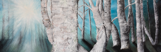 Birch Sunrise -IN STOCK